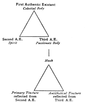 The Plotinian Existents and the Principles, AV B 194