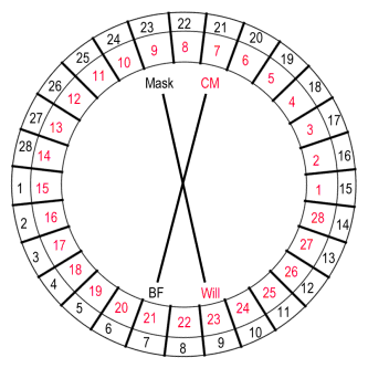 The Black and Red Cones as a Wheel