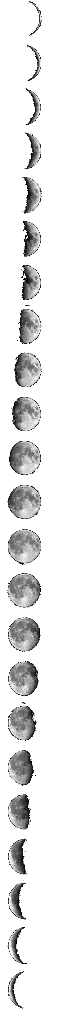 Moon Phases