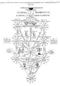 The Tree of Life from Athanasius Kirchers Oedipus Aegypiacus